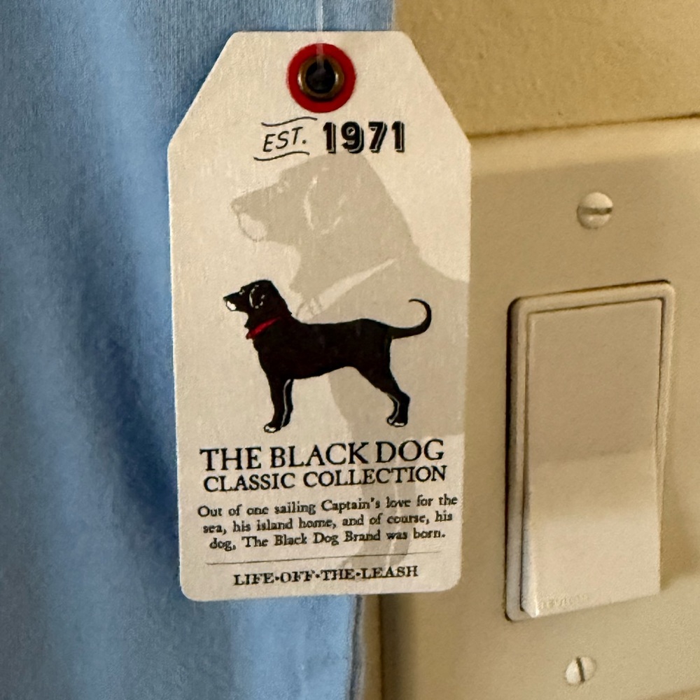 NWT!-{The Black Dog}-Size: L(10)-Kids 2020 Classic SS Tee in Gulfstream - Picture 3 of 5